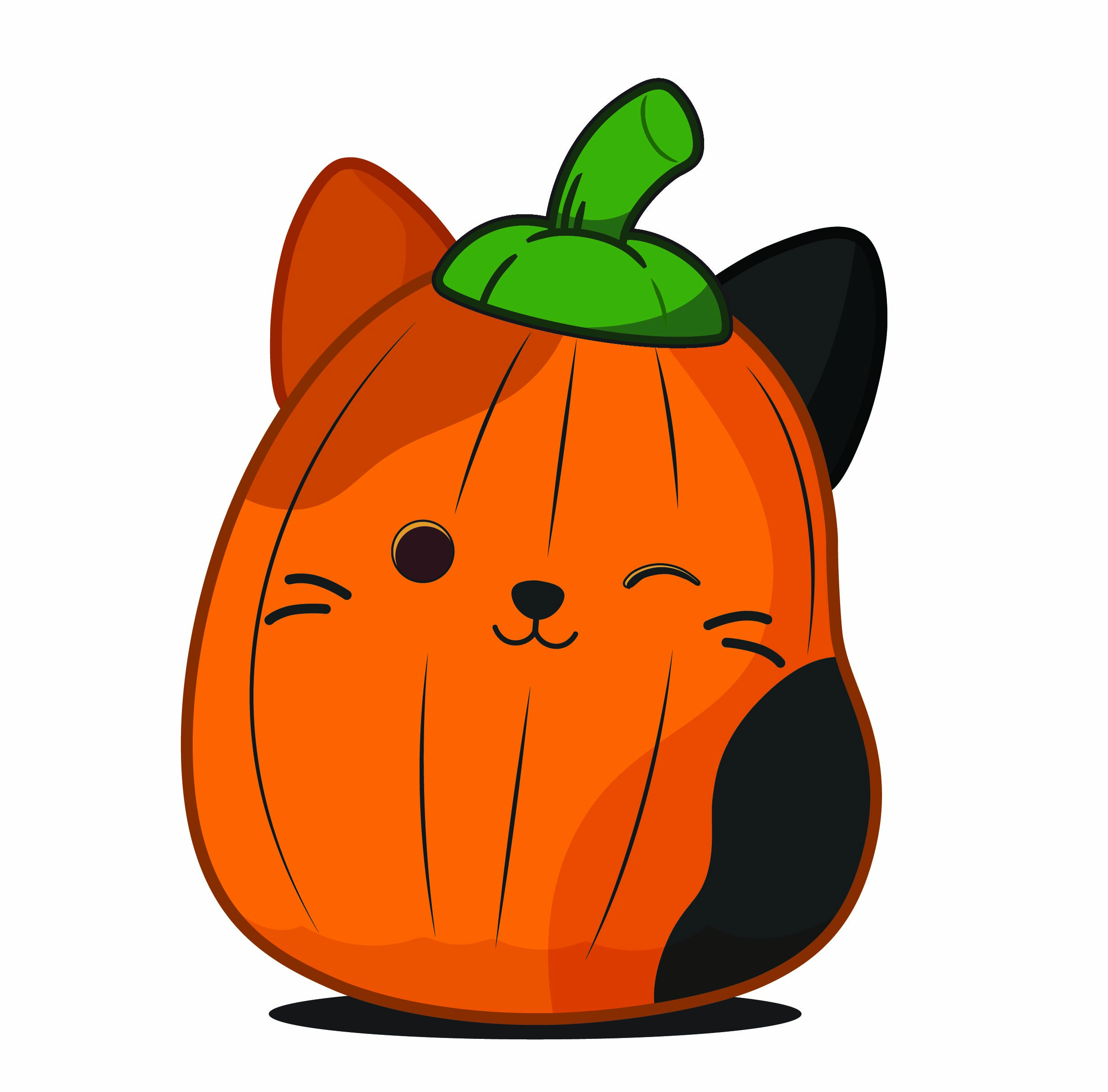 PUMPKIN CAM